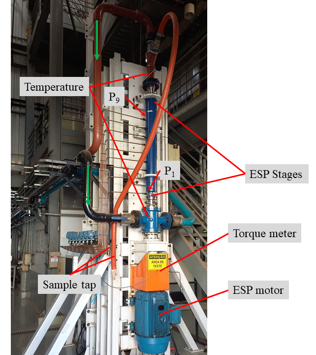 EFFECT OF THE NON-NEWTONIAN BEHAVIOR ON PUMP OPERATION AND THE TURBULENT FRICTION FACTOR
